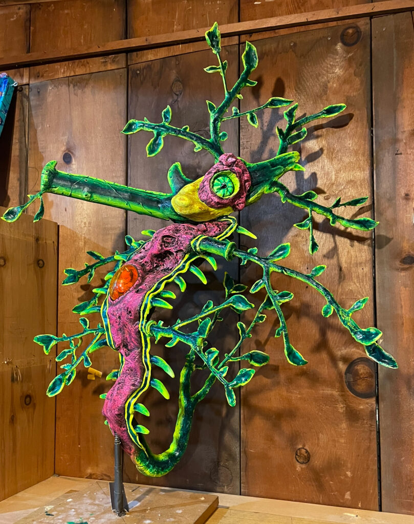 Weedy Seadragon